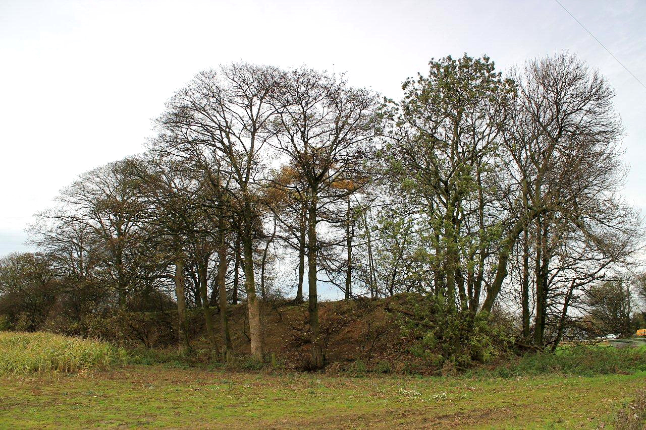 This looks like it might be an Iron Age earthwork of the type incorporated into the nearby Brigantian fortress and Stanwick, but it???s the spoilheap of a 19th Century copper mine at Low Merrybent Farm. This part of the country is famous for its lead mines, but the copper-mining industry is very much a forgotten chapter.